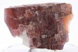 Rare, Red Villiaumite Crystal Section - Murmansk Oblast, Russia #195319-1
